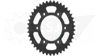 ESJOT Kettenrad "32072" 520, Stahl, schwarz 42...