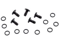 CAMPAGNOLO Befestigungsschraube SB-verpackt, zum B...