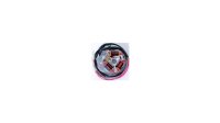 Grundplatte 25/25 W mit Unterbrecherzündung 12 V -...