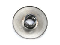 Wandlerscheibe Bewegliche Scheibe, hinten Standard