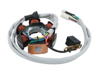 SPEC-X Ankerplatte 6 Spulen, Stec