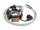 SPEC-X Ankerplatte 6 Spulen, Stec