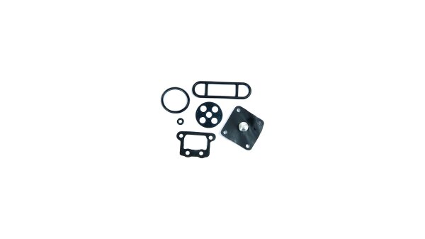 Reparatursatz Benzinhahn Der Komplettsatz zur Über Reparatursatz