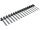 KÄRCHER Borstenband Ersatzborstenband au Maße (L × B × H): 315 x 75 x 18 mm