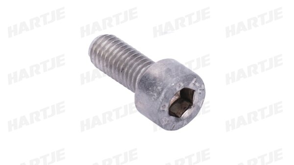 DRESSELHAUS Zylinderschraube "3357" Innensechskant 5 x 14 mm, VE: