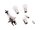 SPAHN Lampenpaket 12 V MZ-Paket beste