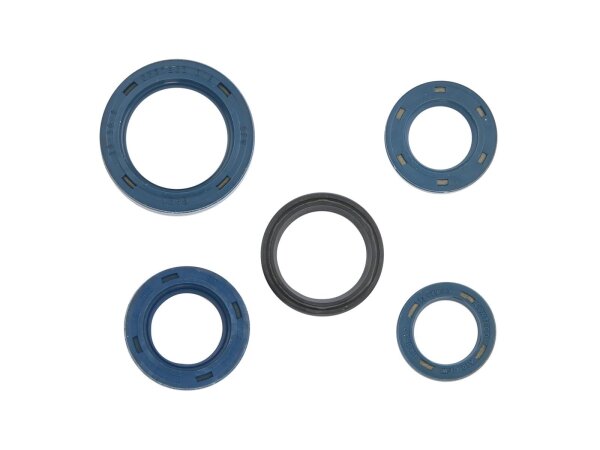 Simmerringsatz CIF 5-teilig