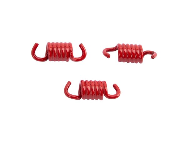 MALOSSI Kupplungsfedernsatz Ø 2,0 mm, 3 St