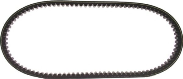 SPEC-X Keilriemen "Standard" 18 x 729 mm