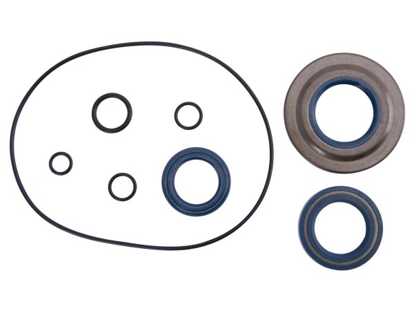 Simmeringsatz CIF mit O-Ringen