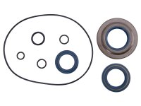 Simmeringsatz CIF mit O-Ringen