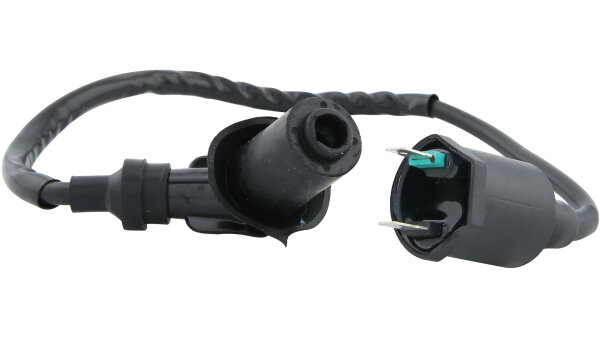 SPEC-X Zündspule mit Zündkabel