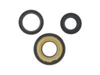 Simmerringsatz CIF 50N,PK-S, Primavera