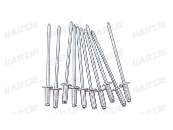 DRESSELHAUS Blindniete Alu/ Stahl, Standard (Flach 3,0 x 8 mm, Ab