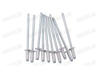 DRESSELHAUS Blindniete Alu/ Stahl, Standard (Flach 3,0 x...