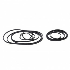 SRAM Stealth Ring-Set Für Kassettenzahnkränze XG-1 für 10-26 Zähn