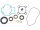 PIAGGIO OEM Motordichtsatz Motordichtsatz