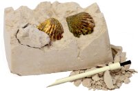 Spiegelburg Mini-Ausgrabungsset Fossilien - T-Rex World,...
