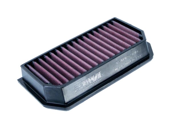 Tauschluftfilter DNA P-AP6S21-01