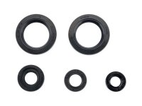 Motorsirisatz Athena KTM