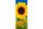 Banner Sunfield 75x180cm