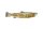 GEFU Fischhalter BBQ