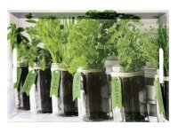 KESPER Serviertablett Herbs 48x30x3,5cm