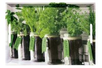 Serviertablett Herbs