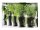 KESPER Serviertablett Herbs 48x30x3,5cm