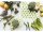 NUTS Bienenwachstuch Universal Set 5teilig