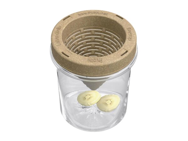 Frubby® Fruchtfliegen-Lebendfalle