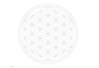 CARRY Trinkflasche 1l Flower of Life  