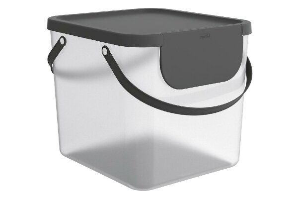 ROTHO Aufbewahrungsbehälter Albula 40l 39,8x35,8x33,9cm transparent Deckel anthrazit