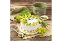 ZENKER Springform green vision Ø18cm mit extra hohem Rand
