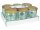 DOSEN-ZENTRALE Schraubdeckelglas 446ml mit 82mm TO-Deckel Holz 6er Tray
