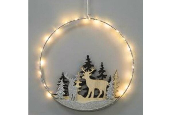 HI LED Metall Ring mit 20 LED Ø30cm