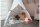 ALECTO BC-23 3 in 1 Babyzimmer-Luftbefeuchter