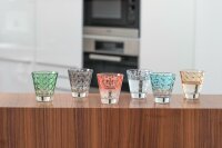 LEONARDO Whiskybecher Pastell sortiert Optic 6er Set