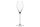 SPIEGELAU Champagnerglas Definition 250ml 2er Set