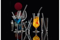 BOHEMIA Selection Cocktailschale 240ml mit Glastrinkhalm 15cm 2er Set