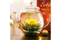CREANO Erblüh-Tee Weißer Tee 72er Pack