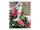 BODDELS Trinkflasche TWEE 0,5l himbeerrot
