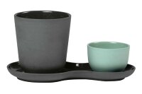 Kaff.u.S&uuml;&szlig;.3erSet, kale green