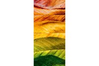 Banner Seasons 90x180cm