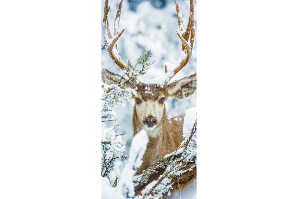 Banner Florian 90x180cm einseitig bedruckt 100 % Polyester