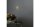 STAR TRADING Standstern Firework 3D LED 50x25cm silber