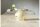 STAR TRADING Glaskugel Merry Christmas LED Batterie Timer ø12cm weiß