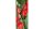Banner Aileen 75x180cm beidseitig bedruckt 100% Polyester