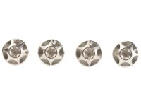 SILCA Schraube 6Al/4V Titanium, 4er Pack, M5 x 12  silber