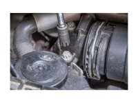 HAZET Steckschlüsseleinsatz "2751-1" 1/4", Sonderp 12 mm
